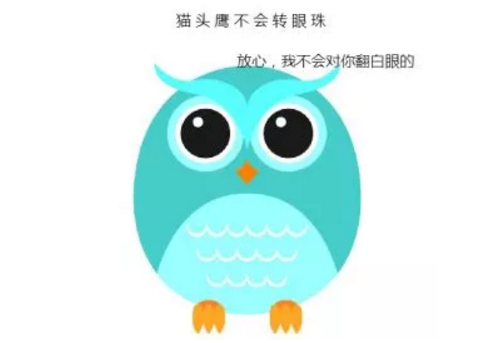 貓頭鷹的視力